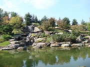 Western Michigan [2009] 260